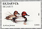 Common Pochard Aythya ferina  1996 Ducks and wading birds  MS