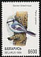 Azure Tit Cyanistes cyanus  1998 Songbirds in the Red Book 