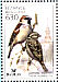 House Sparrow Passer domesticus  2003 Bird of the year BirdLife 
