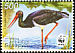 Black Stork Ciconia nigra  2005 WWF 