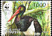 Black Stork Ciconia nigra  2005 WWF 