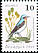 Northern Wheatear Oenanthe oenanthe  2006 Garden birds 