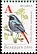 Black Redstart Phoenicurus ochruros  2006 Garden birds 