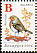European Robin Erithacus rubecula  2006 Garden birds 