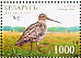 Great Snipe Gallinago media  2007 Birds in sanctuaries Sheet with 3 sets