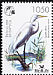 Great Egret Ardea alba  2008 Bird of the year BirdLife 