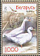Eurasian Magpie Pica pica  2009 Poultry 