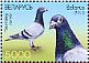 Rock Dove Columba livia  2011 Pigeons Sheet with 2 sets