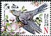 Common Cuckoo Cuculus canorus  2014 Bird of the year Birdlife 