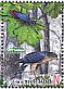 Eurasian Sparrowhawk Accipiter nisus  2014 Naliboki Pushcha Booklet