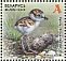 Common Ringed Plover Charadrius hiaticula  2018 Chicks Sheet with 2 sets