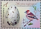 Hawfinch Coccothraustes coccothraustes  2020 Eggs of birds Sheet