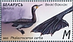 Great Cormorant Phalacrocorax carbo  2023 Waterfowl Sheet