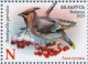 Bohemian Waxwing Bombycilla garrulus  2023 Birds, winter guests of Belarus Sheet with 2 sets
