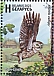 Little Owl Athene noctua  2023 Birds of Belarus - Strigiformes Sheet