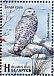Belarus 2023 Birds of Belarus - Strigiformes Sheet