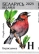 Eurasian Chaffinch Fringilla coelebs