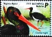 Black Stork Ciconia nigra