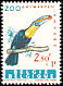Keel-billed Toucan Ramphastos sulfuratus  1962 Birds of Antwerp Zoo 