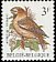 Hawfinch Coccothraustes coccothraustes