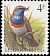 Bluethroat Luscinia svecica  1989 Birds 