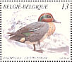 Eurasian Teal Anas crecca  1989 Ducks Booklet