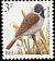 Common Reed Bunting Emberiza schoeniclus  1991 Birds 