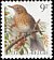 Song Thrush Turdus philomelos  1991 Birds 