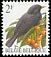 Common Blackbird Turdus merula  1992 Birds 