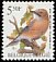 Eurasian Jay Garrulus glandarius  1993 Birds 