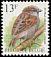 House Sparrow Passer domesticus  1994 Birds 