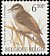 Sedge Warbler Acrocephalus schoenobaenus