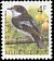 European Pied Flycatcher Ficedula hypoleuca