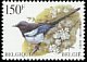Eurasian Magpie Pica pica  1997 Birds 