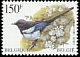 Eurasian Magpie Pica pica