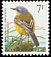 Western Yellow Wagtail Motacilla flava  1997 Birds 