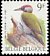 European Green Woodpecker Picus viridis  1998 Birds 