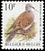 European Turtle Dove Streptopelia turtur