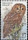 Tawny Owl Strix aluco