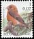 Red Crossbill Loxia curvirostra  2000 Birds 