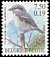 Great Grey Shrike Lanius excubitor