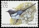 Eurasian Magpie Pica pica  2001 Birds, dual currency 