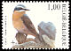 Northern Wheatear Oenanthe oenanthe  2002 Birds 