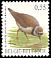 Little Ringed Plover Charadrius dubius  2004 Birds 