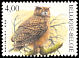 Eurasian Eagle-Owl Bubo bubo