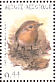 European Robin Erithacus rubecula