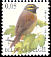 Cirl Bunting Emberiza cirlus  2005 Birds 