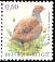 Grey Partridge Perdix perdix