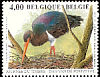 Black Stork Ciconia nigra  2005 Stamp day 