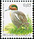 Eurasian Teal Anas crecca  2007 Birds 